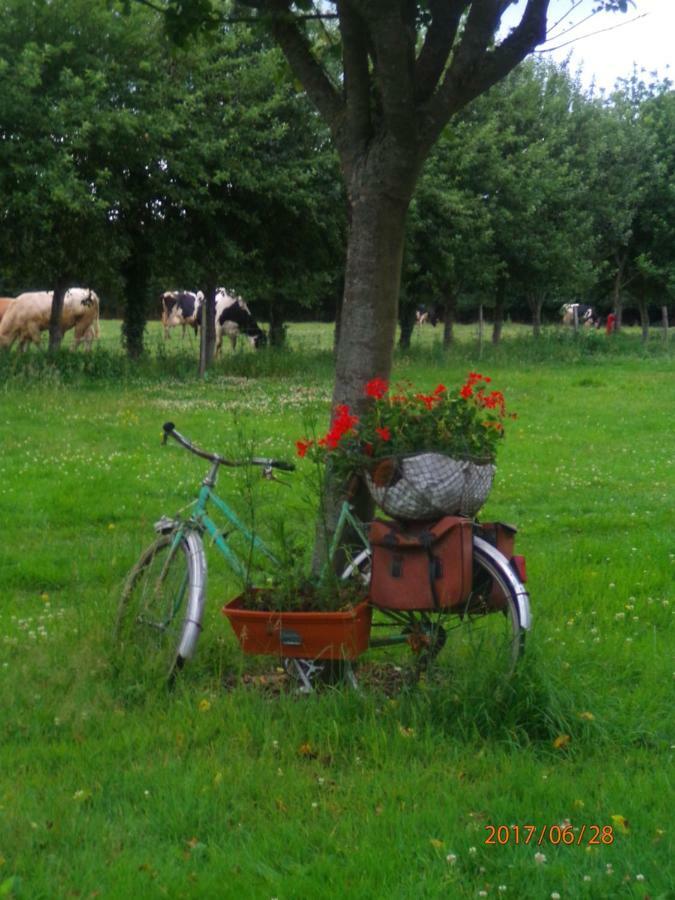 Camping Du Creulet Crouay Dış mekan fotoğraf